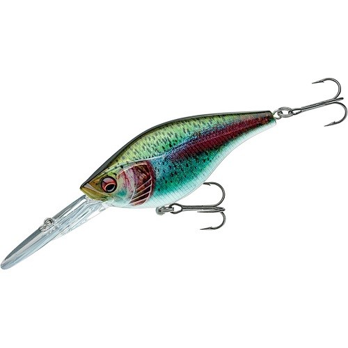 Daiwa Prorex Crank Bait 80DR Live Rainbow Trout