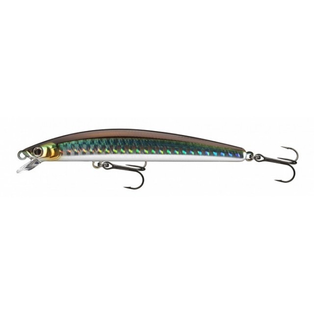 Daiwa Tournament Minnow 120SP Kibinago