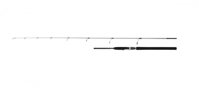 Cana Shimano SpeedMaster R Jig Spin S584