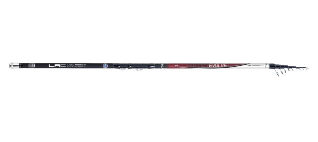 Cana Vega Sandero Evolve 5.00m
