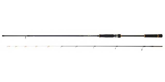 Cana Daiwa Black Gold Tenya 242H AF