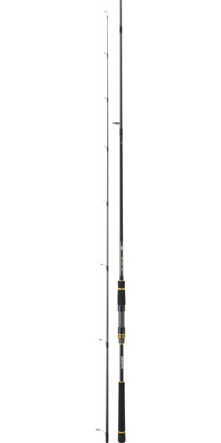 Cana Daiwa Black Gold 702 XHFS