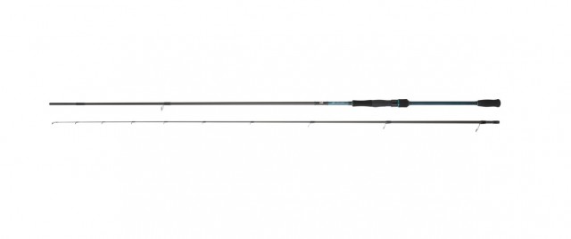 Cana Daiwa Emeraldas S 99LML AF