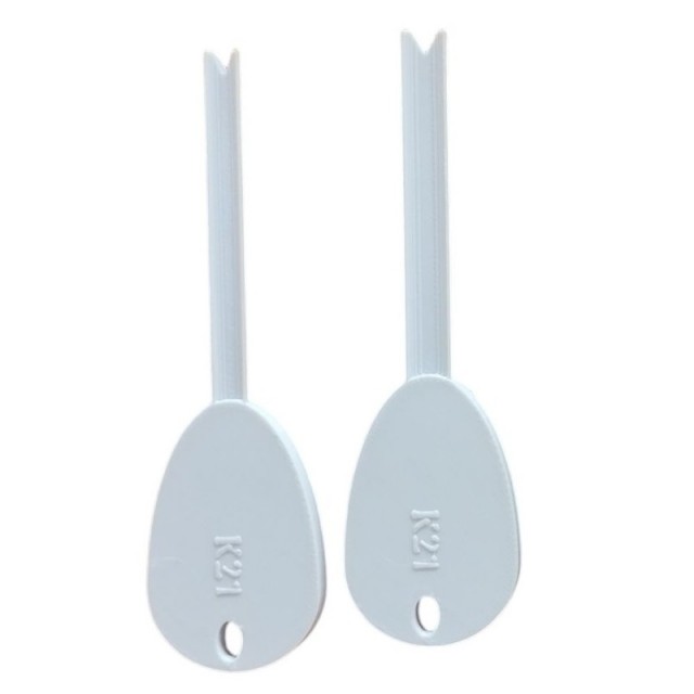 K21 Iscador M8 2pcs