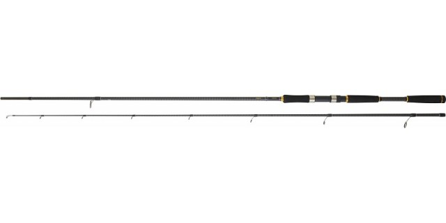 Cana Daiwa Legalis SB 1002 HX HFS AF