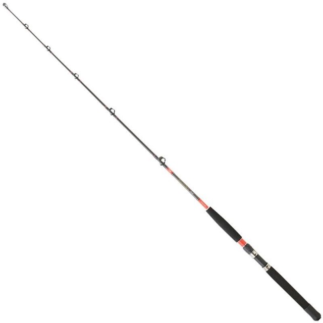 Cana Daiwa Megaforce Trolling 171 1530 DF