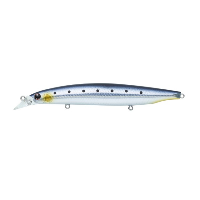 Daiwa Shoreline Shiner Z Vertice R 125F #7 Adel Iwashi