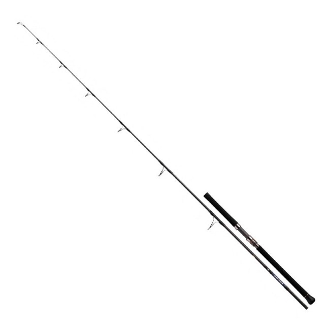 Cana Daiwa Saltiga 85-8