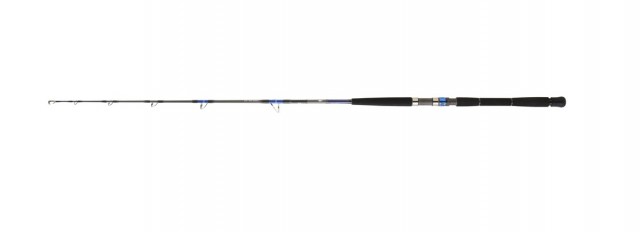 Cana Daiwa Saltiga Deep 55 BF