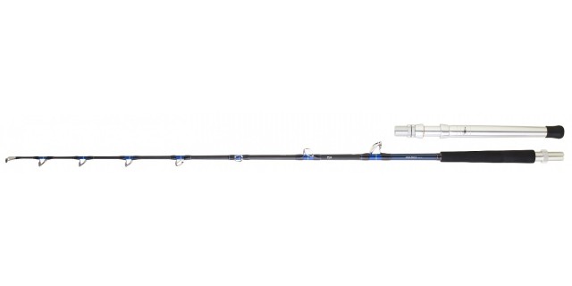 Cana Daiwa Saltiga Trolling 80130BT