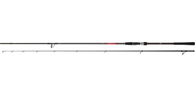 Cana Daiwa Saltist SB 1002 HFS AF