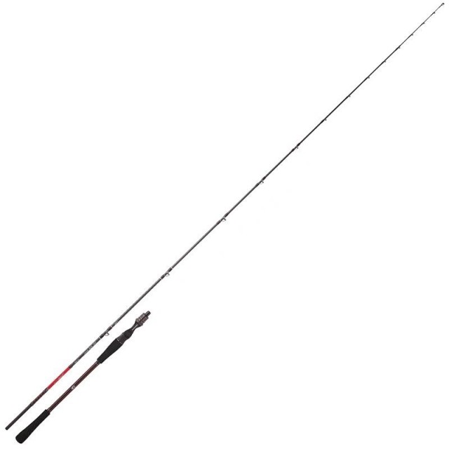 Cana Daiwa Saltist Tenya 712HB BF