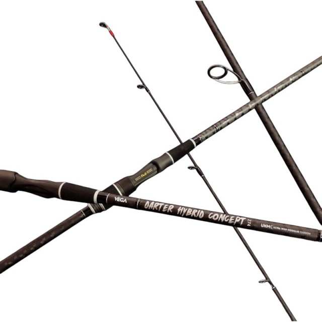 Cana Vega Darter Hybrid Concept (6278) 3.00m