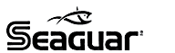 Categoria
